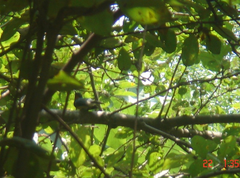 DSC08236.JPG