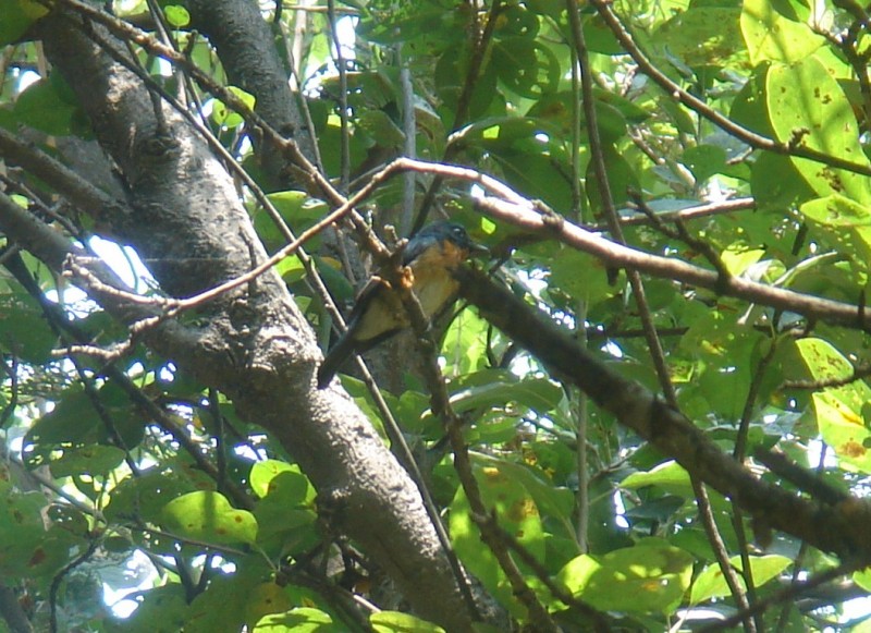 DSC08265.JPG