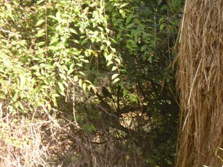 SDC12219.jpg