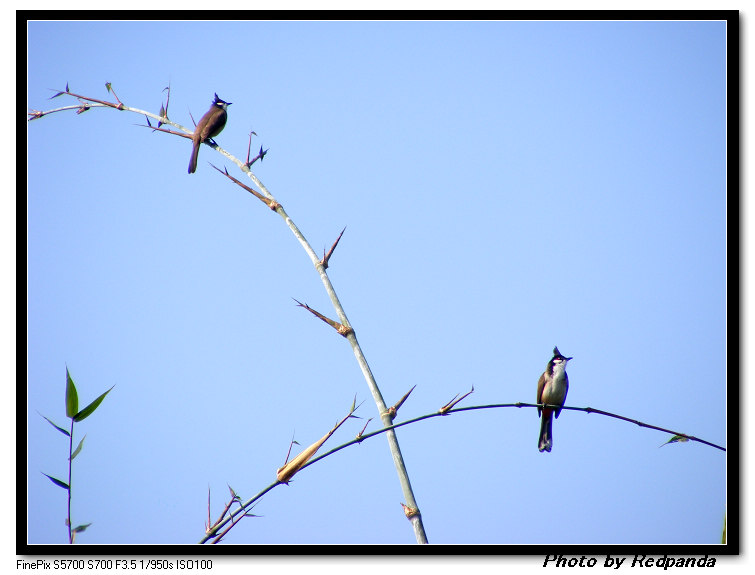 DSCF6015.jpg
