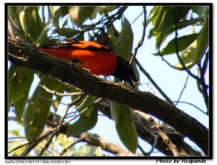 DSCF5995.jpg