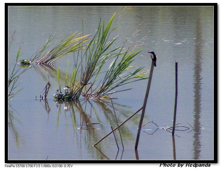 DSCF6025.jpg