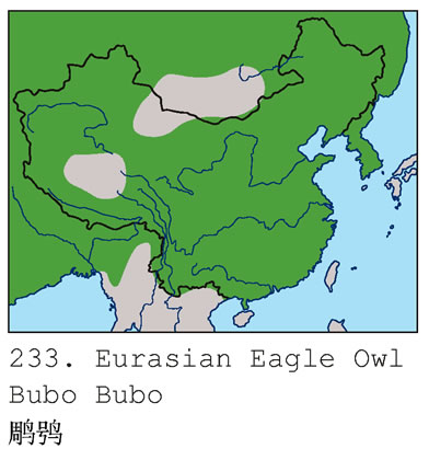 b0233.jpg