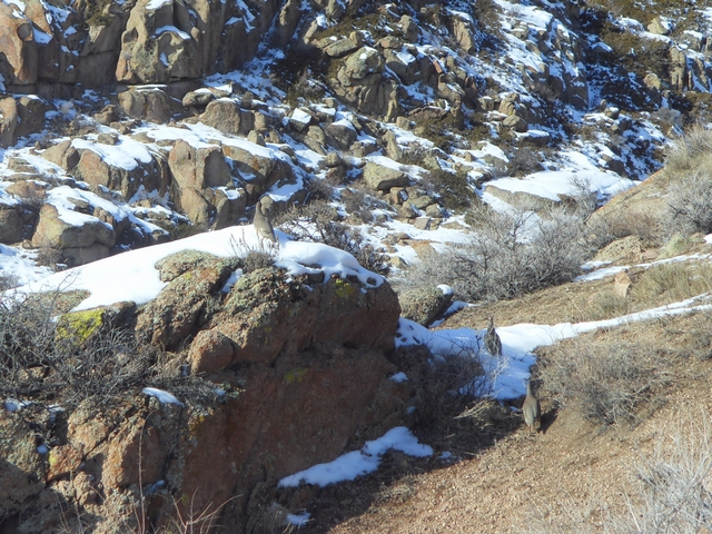SDC10440.jpg