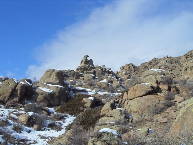 SDC10440.jpg