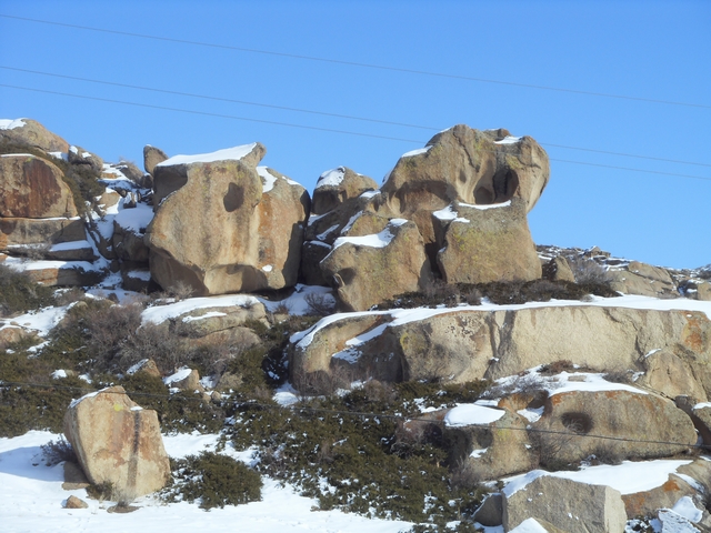SDC10442.jpg