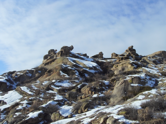 SDC10447.jpg