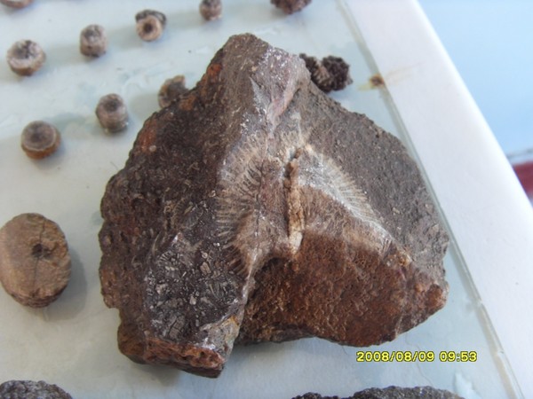 large_2540p89.jpg