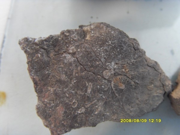 large_2576j89.jpg