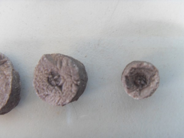 large_2856c89.jpg