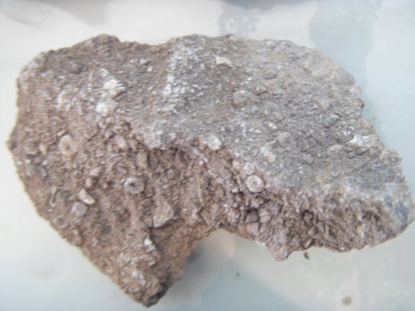 large_2703o89.jpg