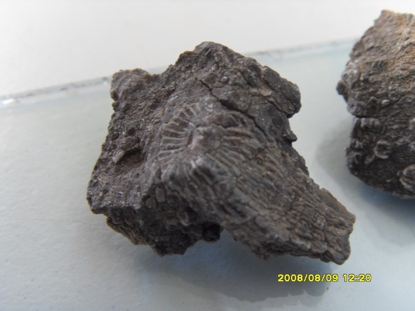 large_2616m89.jpg