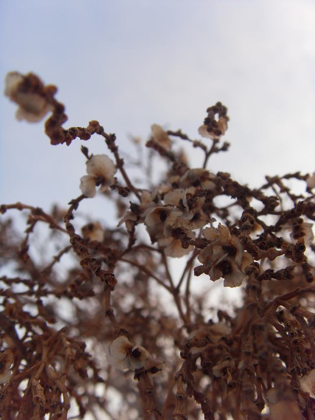 200902109.jpg