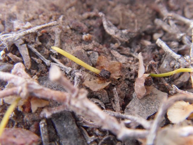 200902103.jpg