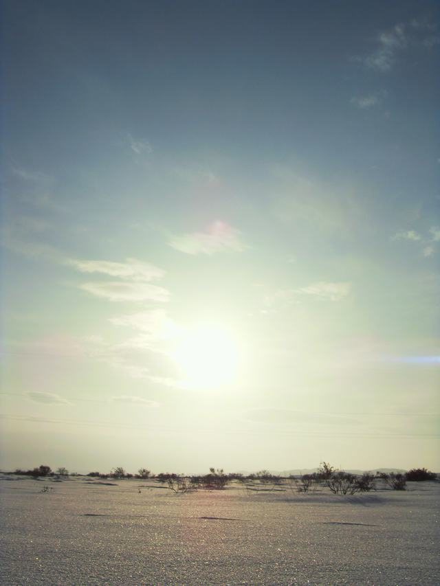 2009021020.jpg