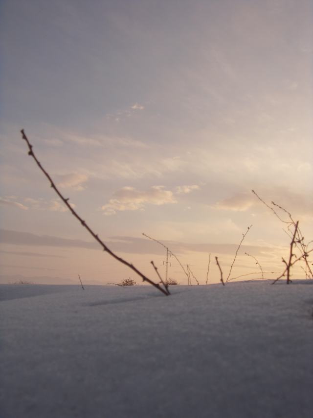 200902102.jpg