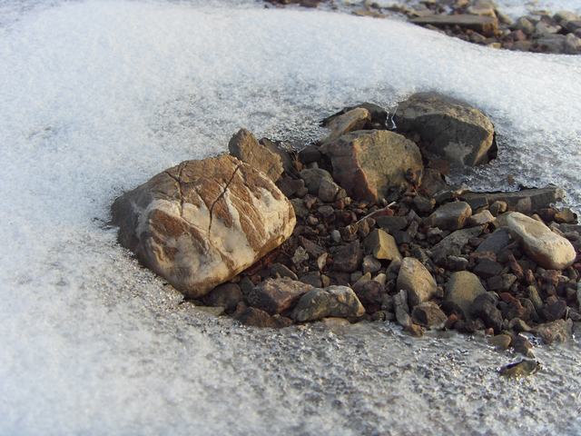 2009021014.jpg