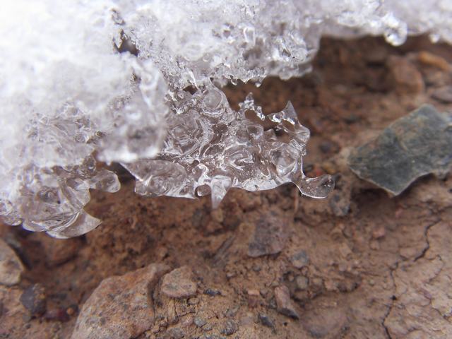 2009021010.jpg