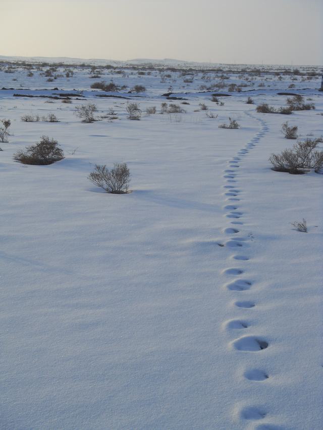 2009021017.jpg