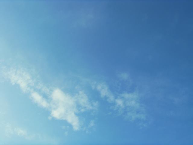 2009021023.jpg