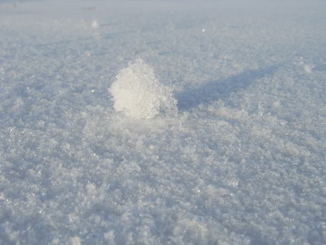 2009021011.jpg