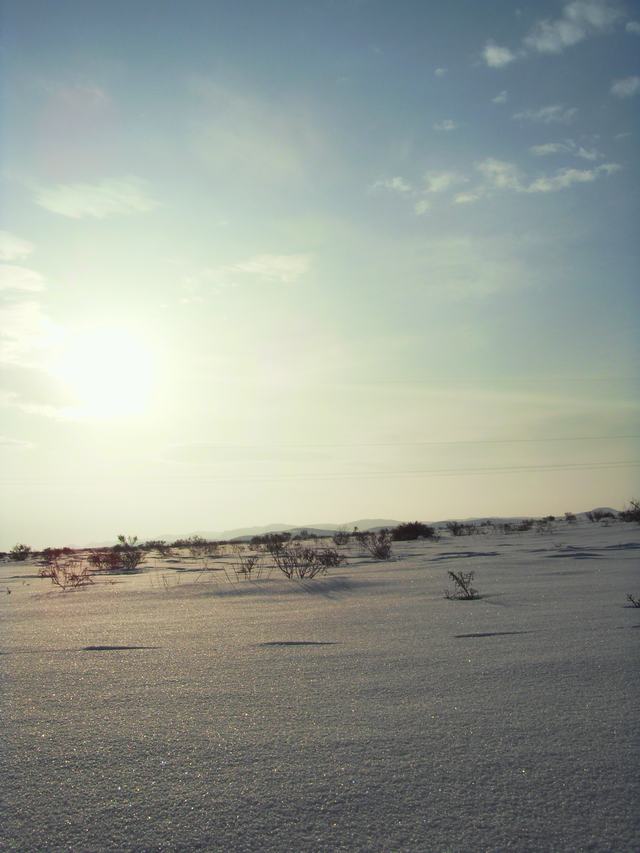 2009021026.jpg
