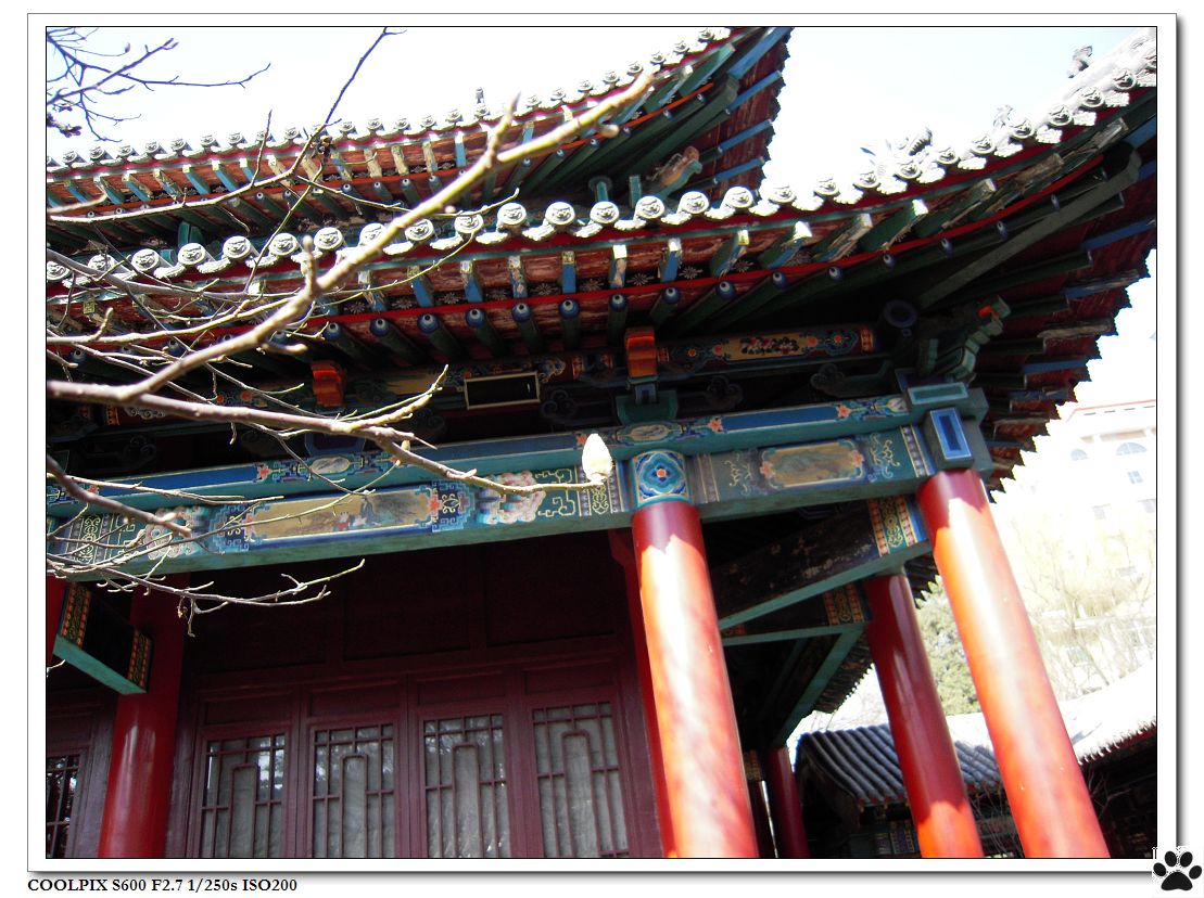 DSCN0128.JPG
