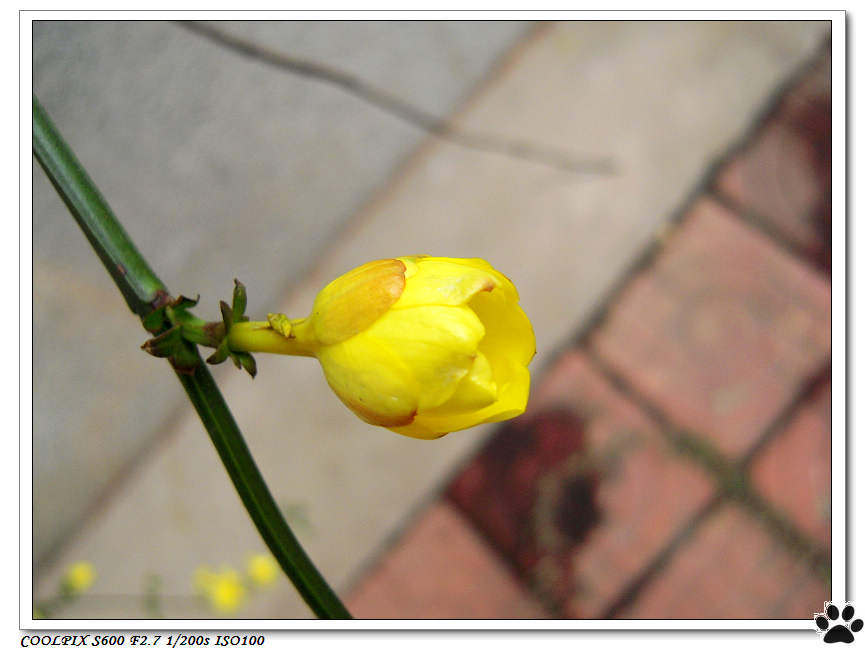 DSCN0261.JPG