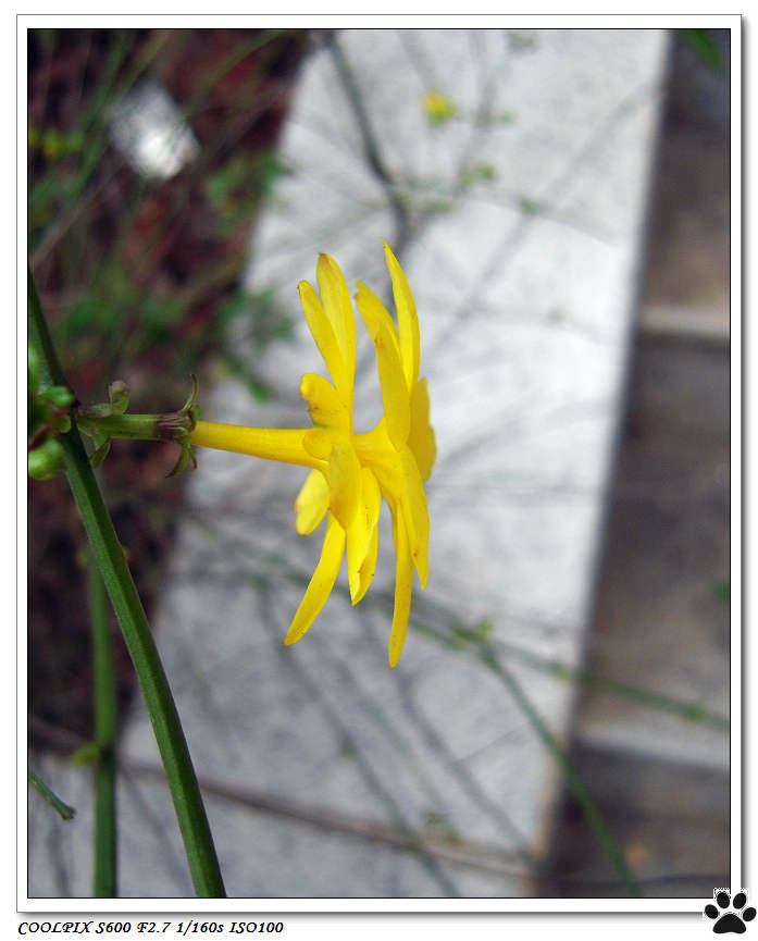 DSCN0266.JPG