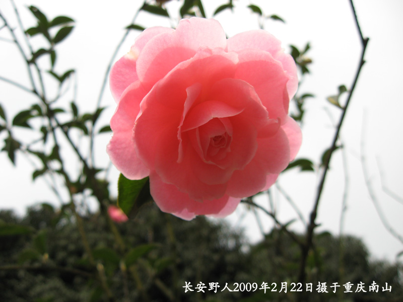 IMG_0926副本.jpg