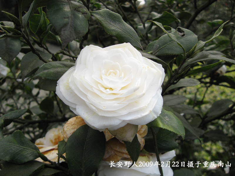 IMG_0942副本.jpg