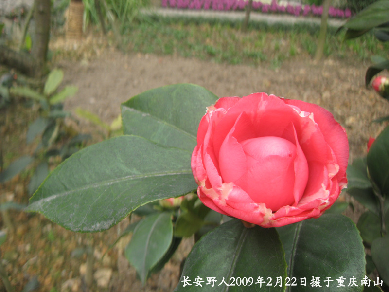 IMG_0885副本.jpg