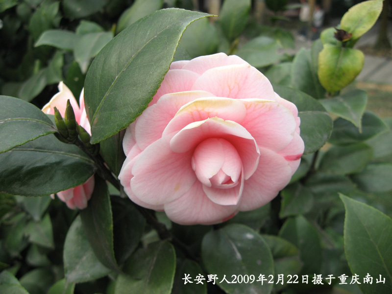 IMG_0932副本.jpg