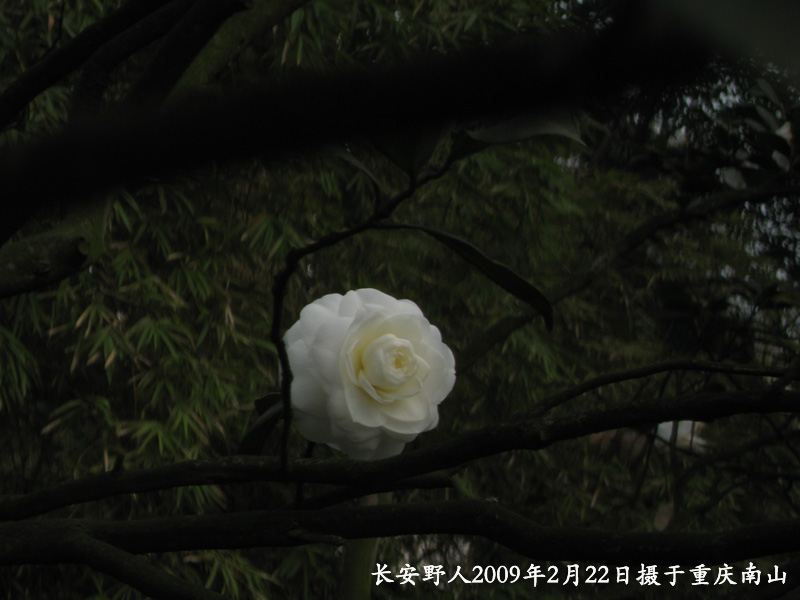 IMG_0889副本.jpg