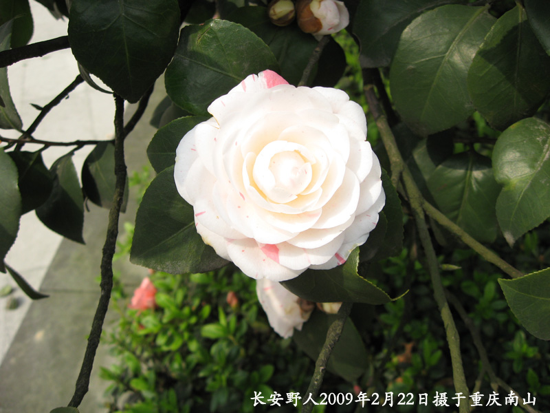 IMG_0928副本.jpg