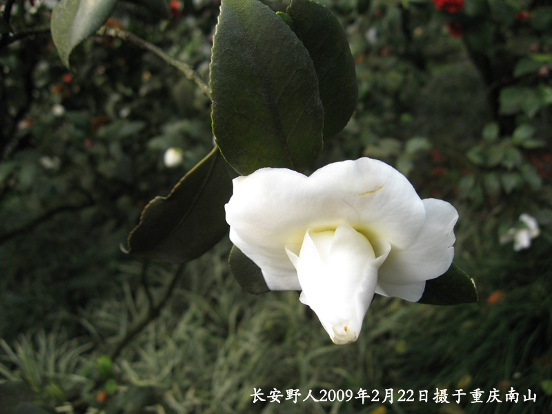 IMG_0935副本.jpg