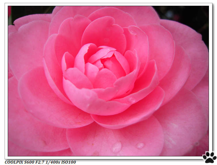 DSCN0237.JPG