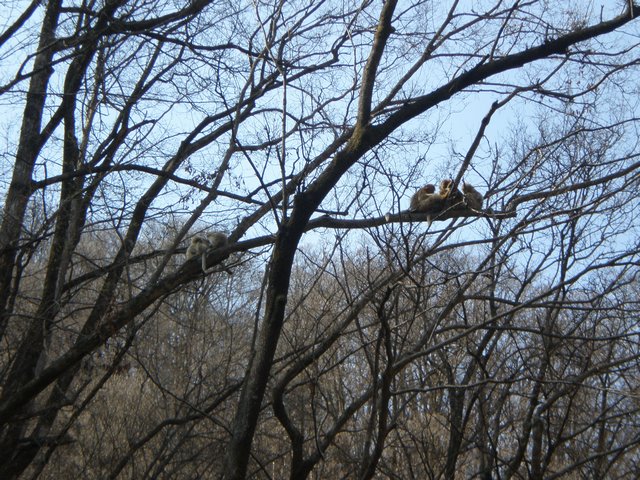 IMG_13.jpg