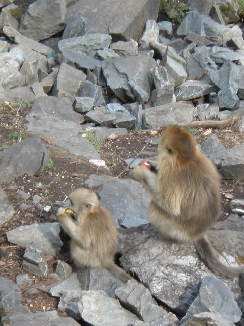 IMG_12.jpg