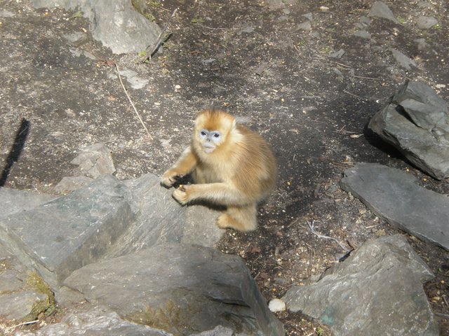 IMG_23.jpg