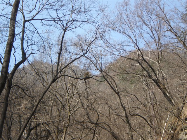 IMG_7.jpg