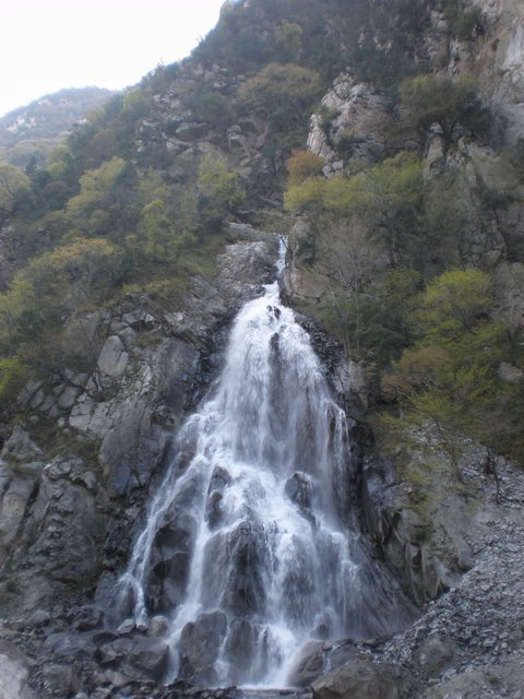 IMG_3.jpg