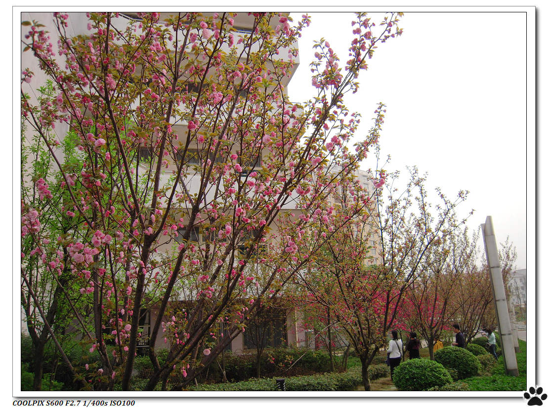 DSCN0887.JPG