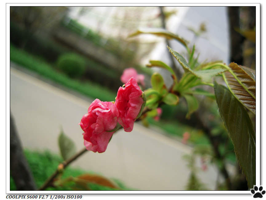DSCN0881.JPG