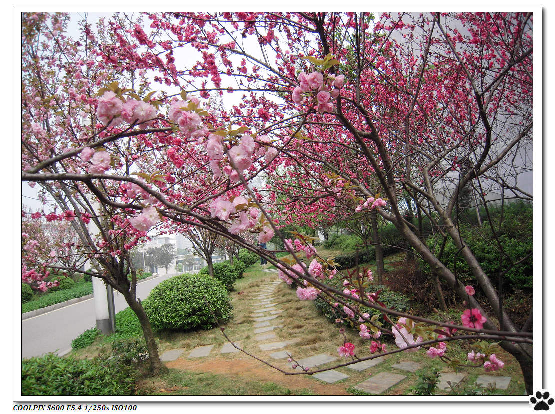 DSCN0929.JPG