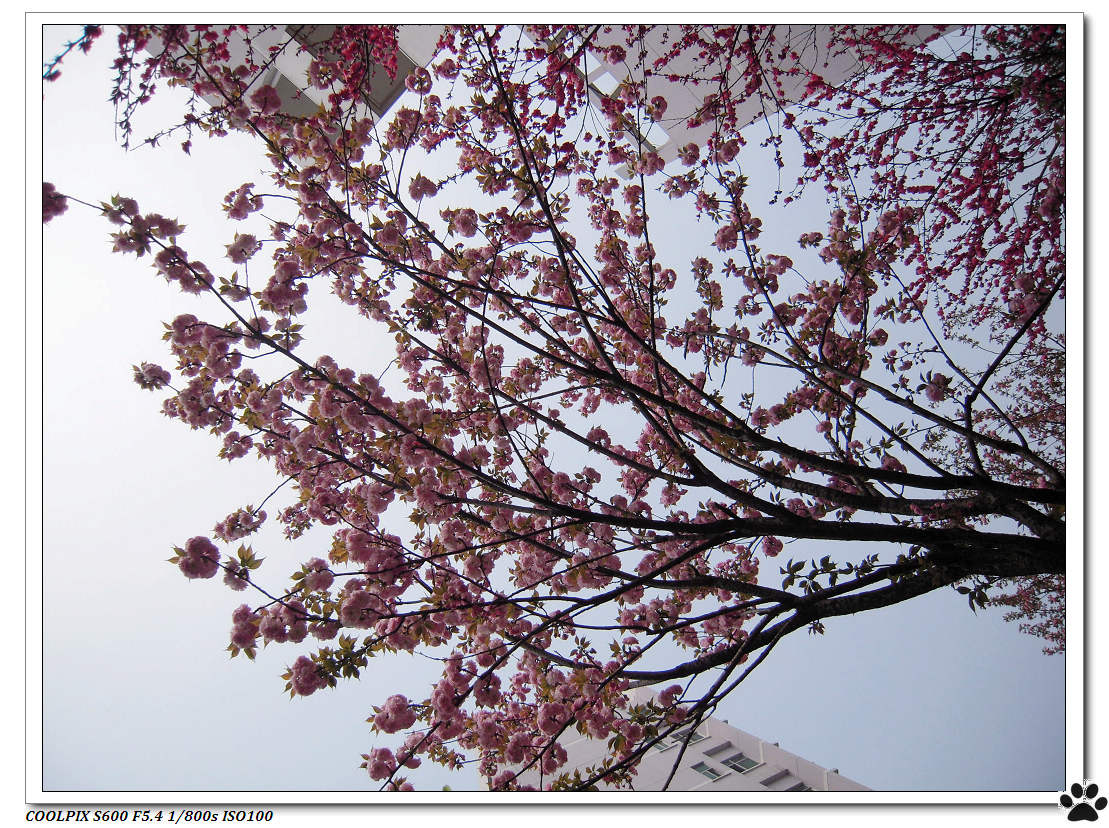DSCN0927.JPG