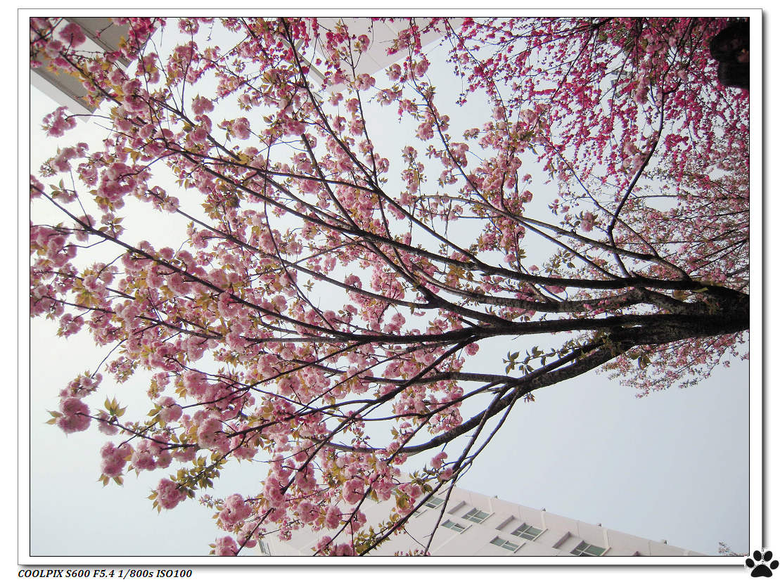 DSCN0926.JPG