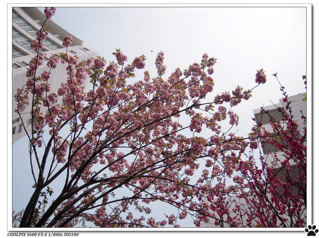 DSCN0928.JPG