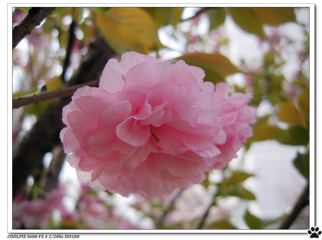 DSCN0937.JPG