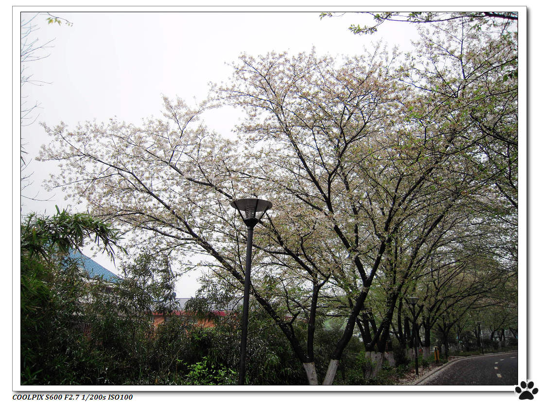 DSCN0988.JPG